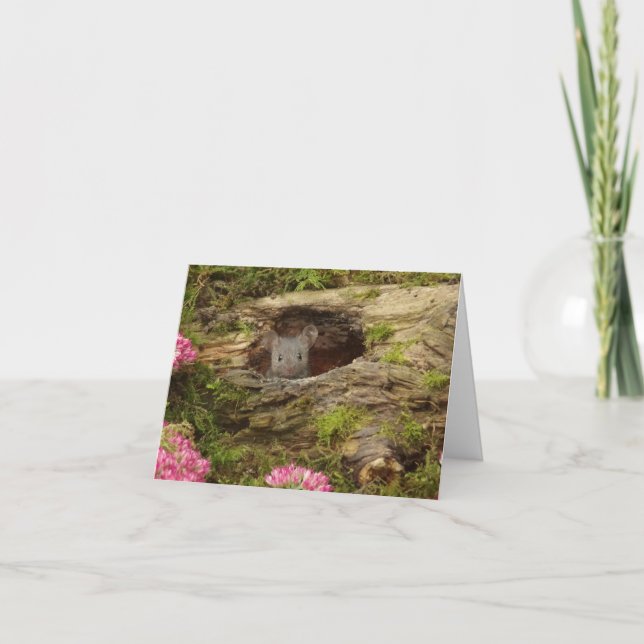 cartão de bebê (Frente)