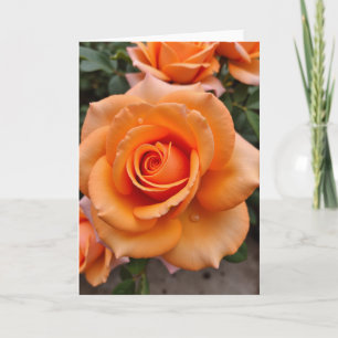 Cartão de Beleza Floral em Espiral