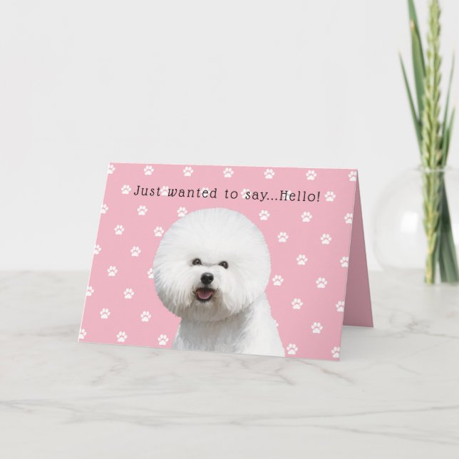 Cartão de Bichon Frise (Frente)