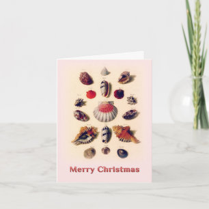 Cartão de Boas Festas Conchas Rosa Natal Feliz
