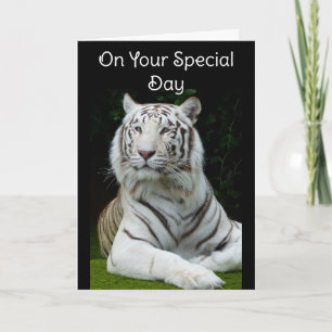 Cartão de Boas Festas de Aniversário do Tigre Bran