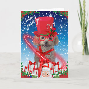 Cartão de Boas Festas de Natal da Poodle Seasons