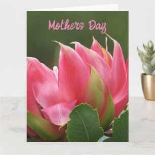 Cartão de Boas Festas do Dia das Mães Floral