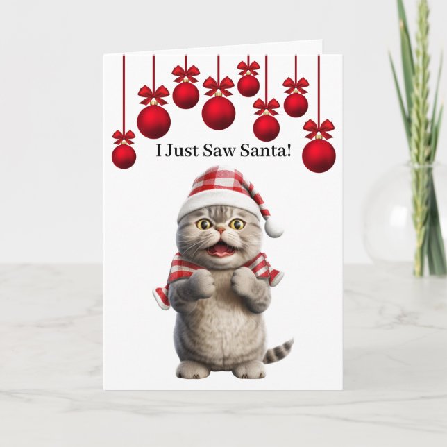 Cartão de Boas Festas do Papai Noel Fofo (Frente)