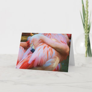 Cartão de Boas-Festas/Qualquer Ocasião_ Cartão