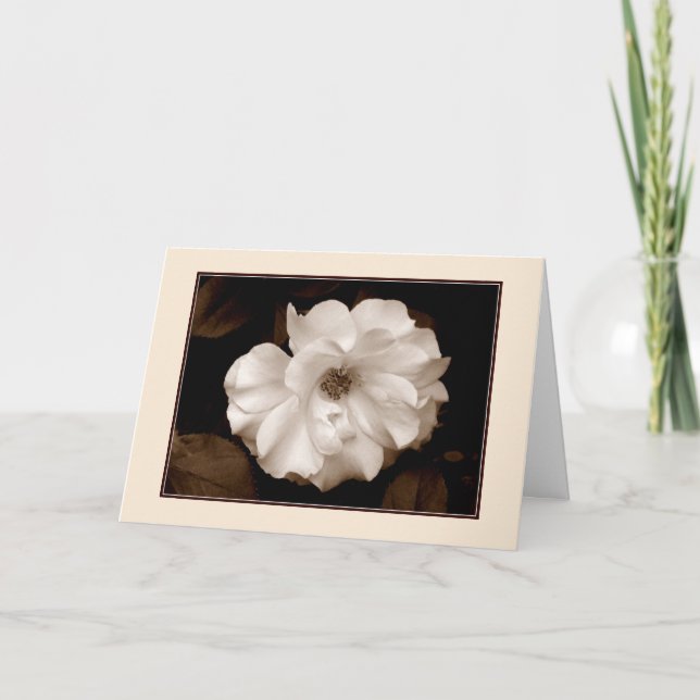 Cartão de Boas Festas 'Spring Rose (Sepia)' (Frente)