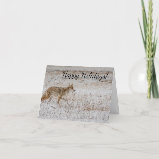 Cartão de Boas-vindas ao Coyote de Yellowstone (Frente)