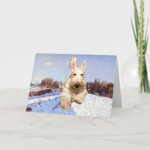 Cartão de Boas-vindas ao Wheaten Scottish Terrier
