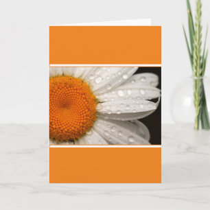 Cartão de Boas-vindas Branco Dobre Summer Daisy