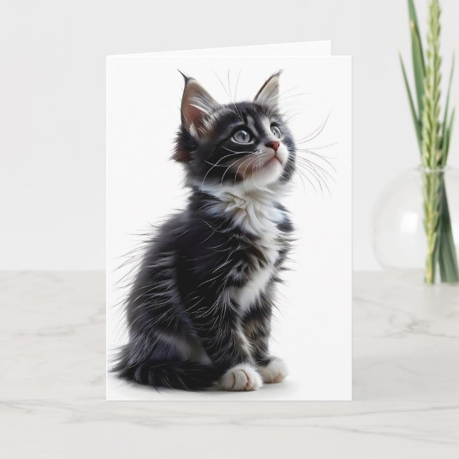 Cartão de Boas-Vindas Branco e Preto com Gato de C (Frente)
