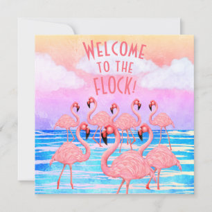 Cartão de Boas-Vindas Chato de Flamingos