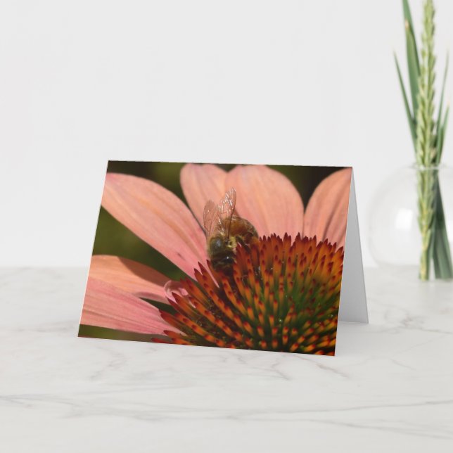 Cartão de Boas-Vindas com Abelha em Coneflower (Frente)