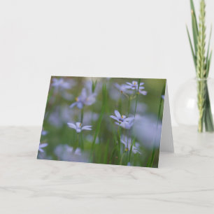 Cartão de Boas Vindas com Flores Azuis Salmos 115: