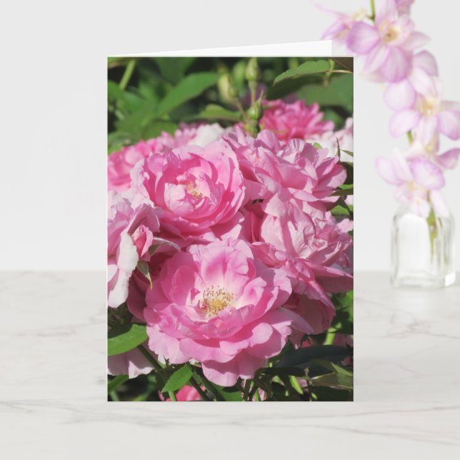 Cartão de Boas Vindas com Rosas Dobradas (Orquídea)