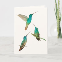 Cartão de Boas-vindas com Três Beija-flores