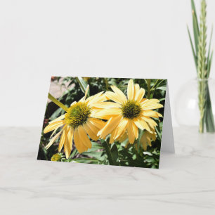 Cartão de Boas-vindas Coneflowers