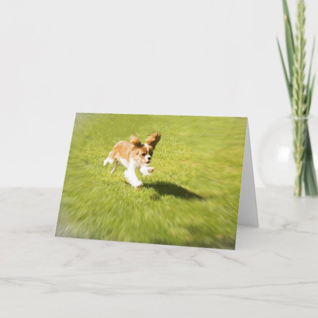 Cartão de Boas Vindas Corra Cachorrinho no Quintal (Frente)