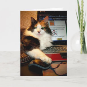 Cartão de Boas Vindas de Gato Calico Engraçado