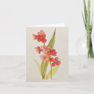 Cartão de Boas-Vindas de Orquídea Vermelha Dobrada