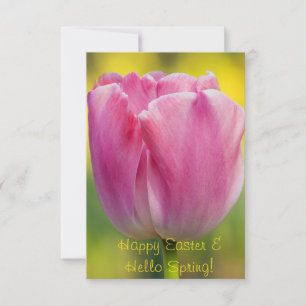 Cartão de Boas Vindas de Tulipa Rosa da Primavera