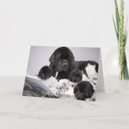 Cartão de Boas-Vindas do Cachorrinho Notta Bear