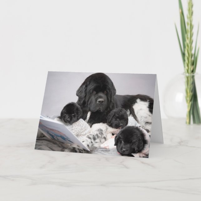 Cartão de Boas-Vindas do Cachorrinho Notta Bear (Frente)