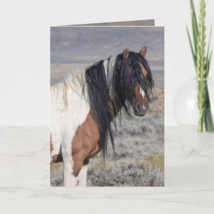 Cartão de Boas Vindas do Cavalo Selvagem Zephyr