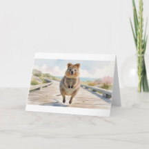 Cartão de Boas-Vindas do Quokka Saltitante na Pass