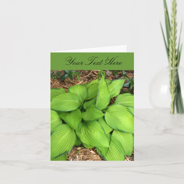 Cartão de Boas Vindas Folhas Verdes de Hosta (Frente)