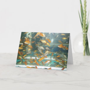 Cartão de Boas Vindas "Goldfish"