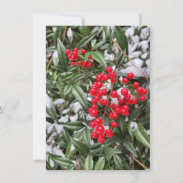 Cartão de boas-vindas para a época natalícia de Be