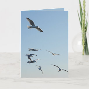 Cartão de Boas-Vindas Personalizável com Gaivotas 