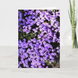 Cartão de Boas Vindas 'Purple Springtime' em Branc