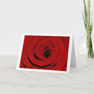 Cartão de Boas Vindas Rosa Vermelha