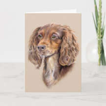 Cartão de Boas-vindas Springer Sprocker Cocker Spa