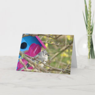 Cartão de Boas-Vindas Tuffed Titmouse em Branco