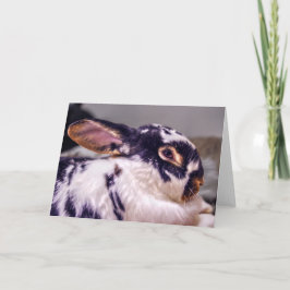 Cartão de BunnyLuv que caracteriza o Fiver