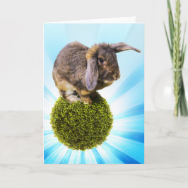 Cartão de BunnyLuv que caracteriza Twink