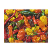 Cartão de cabeça chilihead