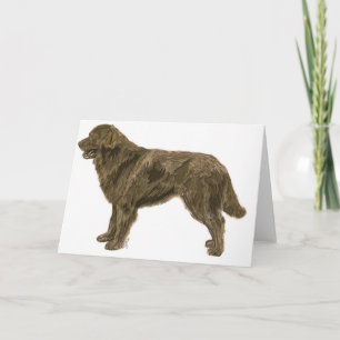Cartão de Cachorro Brown Newfound
