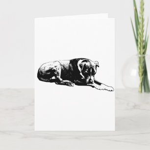 Cartão de Cachorro Claro