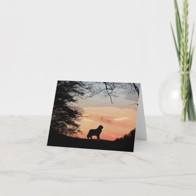 Cartão de Cachorro da Terra Nova (Frente)