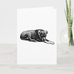 Cartão de Cachorro Quente