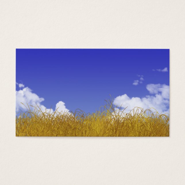 Cartão de Campo (Frente)