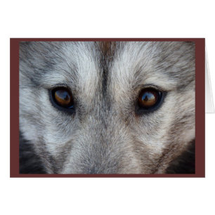 Cartão De Cão De Lúpulo Personalizado Do Wolf P