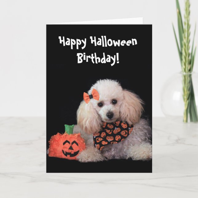 Cartão de cão de Poodle de Aniversário do Hallowee (Frente)