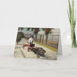 Cartão de Carrinho de Jacaré