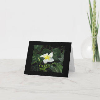 Cartão De "cartão de nota cinco pétalas"