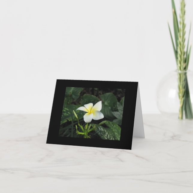 Cartão De "cartão de nota cinco pétalas" (Frente)