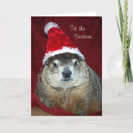 Cartão de cartões de natal de Groundhog Clara